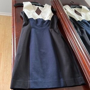 Banana Republic Fitted White, Black and Blue Dress Size 2P
